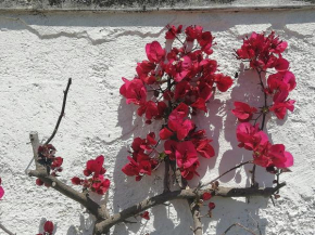 Masseria Semerano appartamento 2